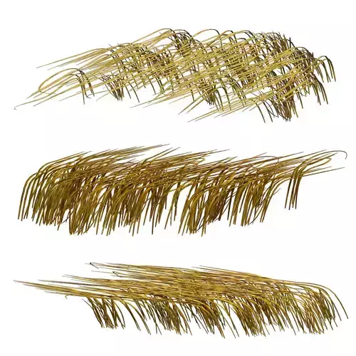 Grass in the water Water chirp Water grass