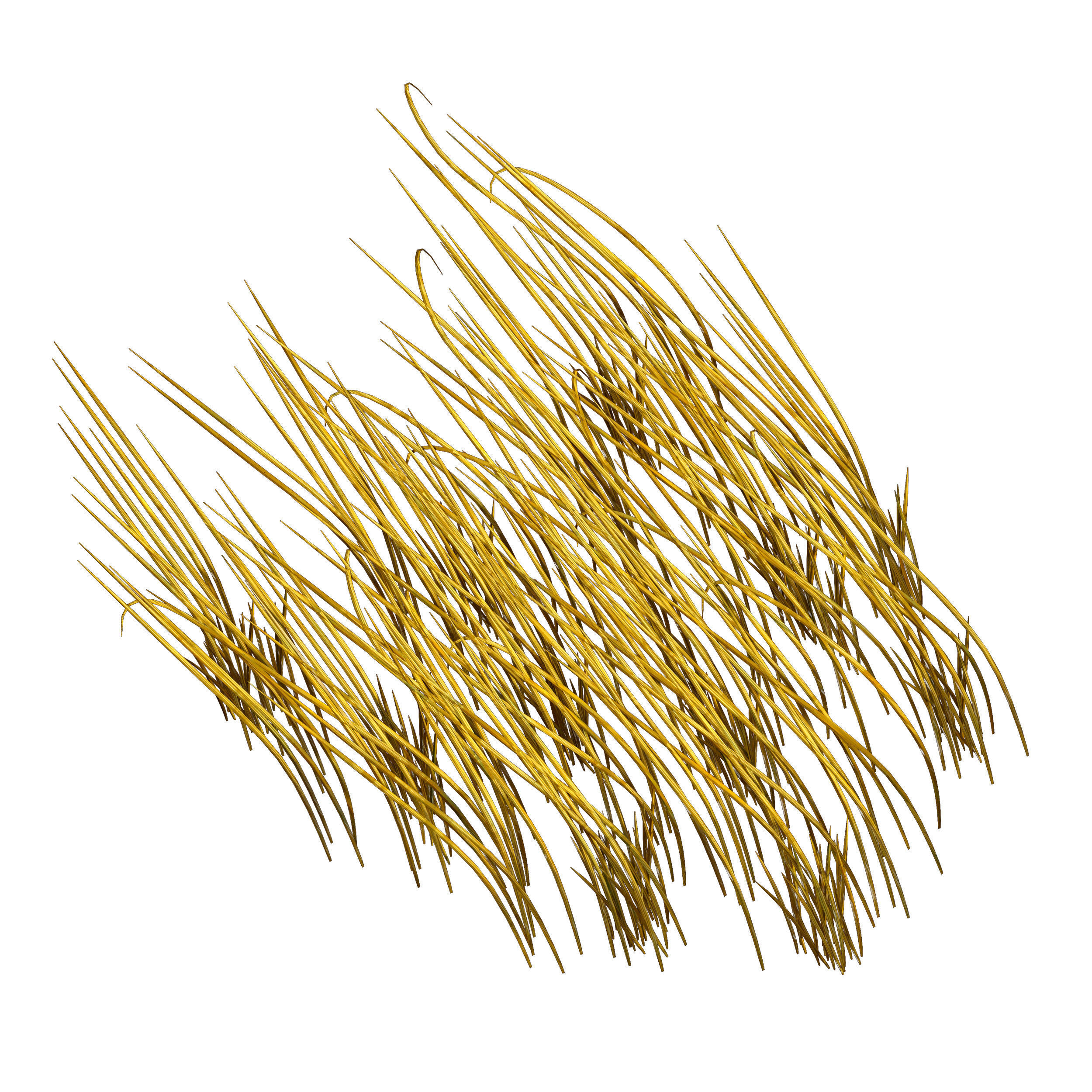 Grass in the water Water chirp Water grass 3D model_7