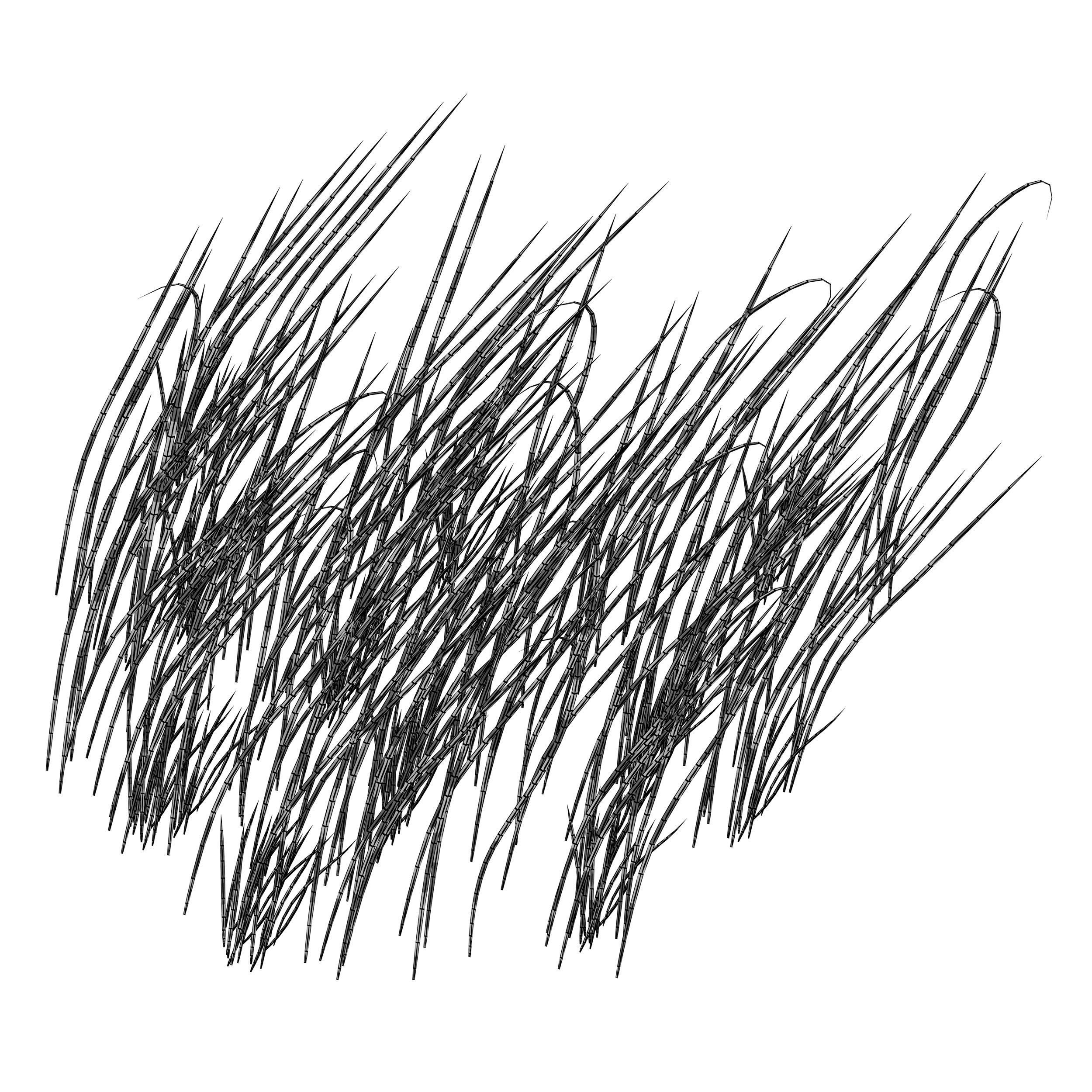 Grass in the water Water chirp Water grass 3D model_10