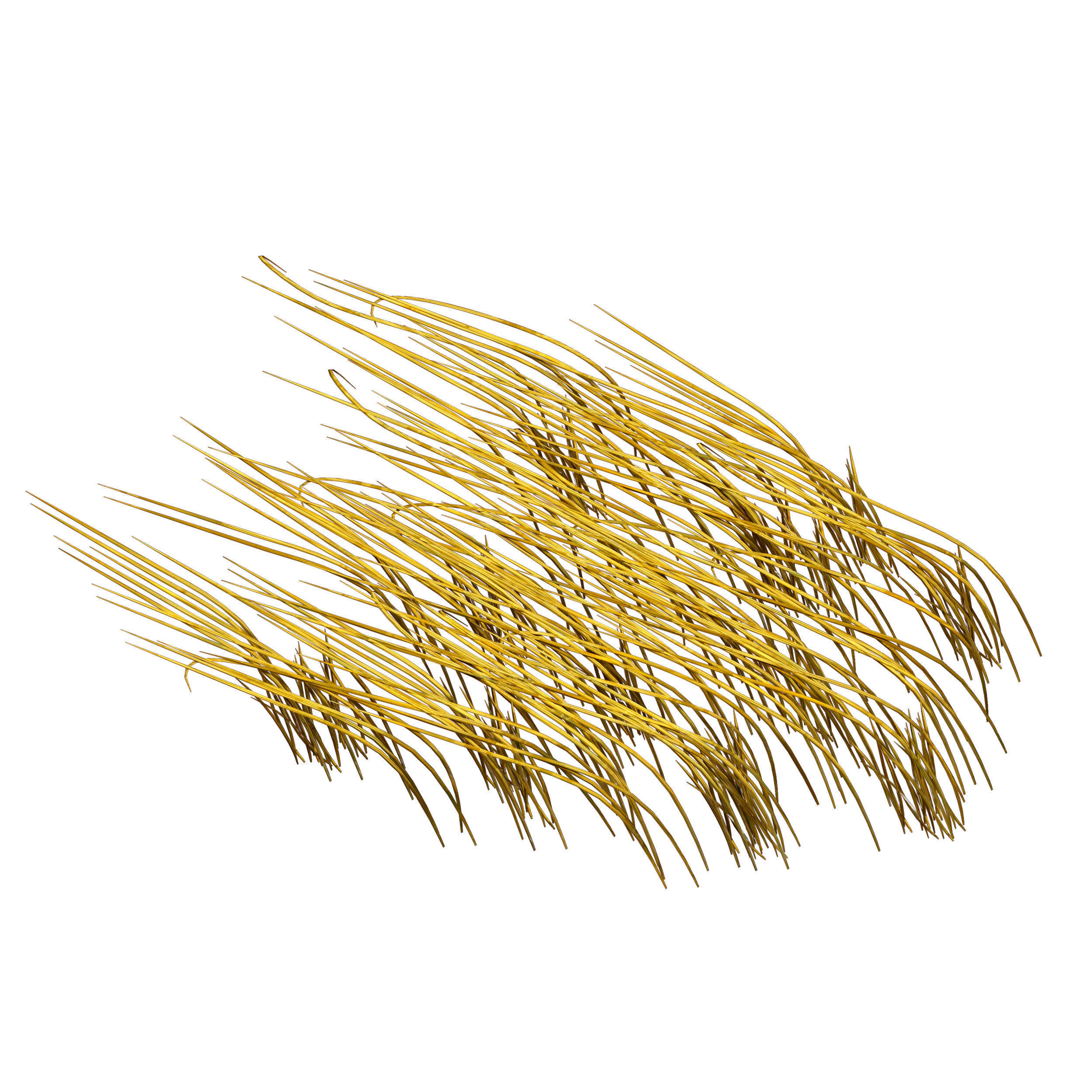 Grass in the water Water chirp Water grass 3D model_6