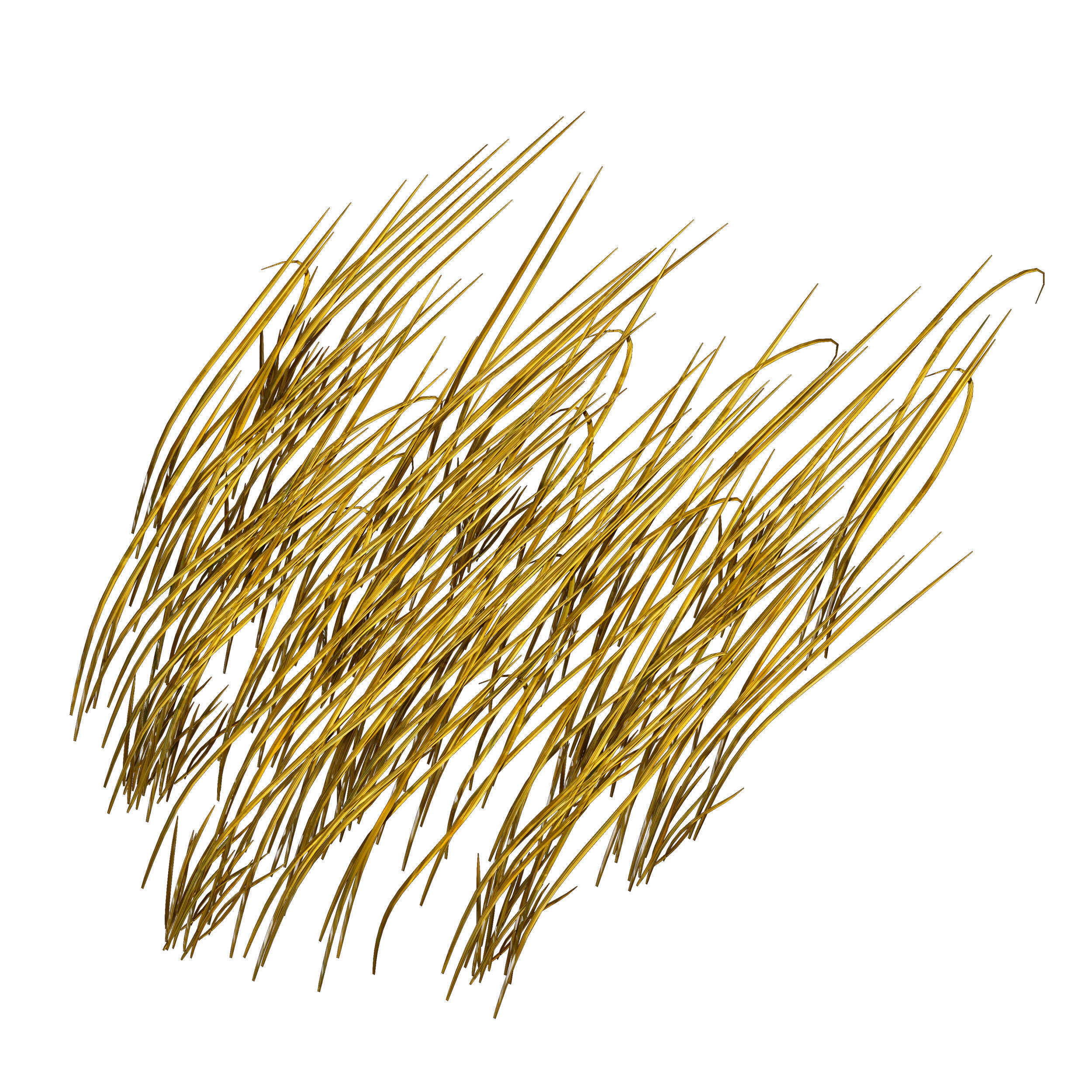 Grass in the water Water chirp Water grass 3D model_8