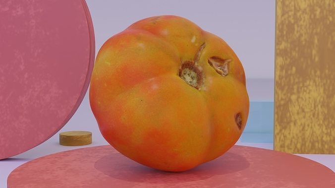 Tomato 07 high-poly 3D model 3