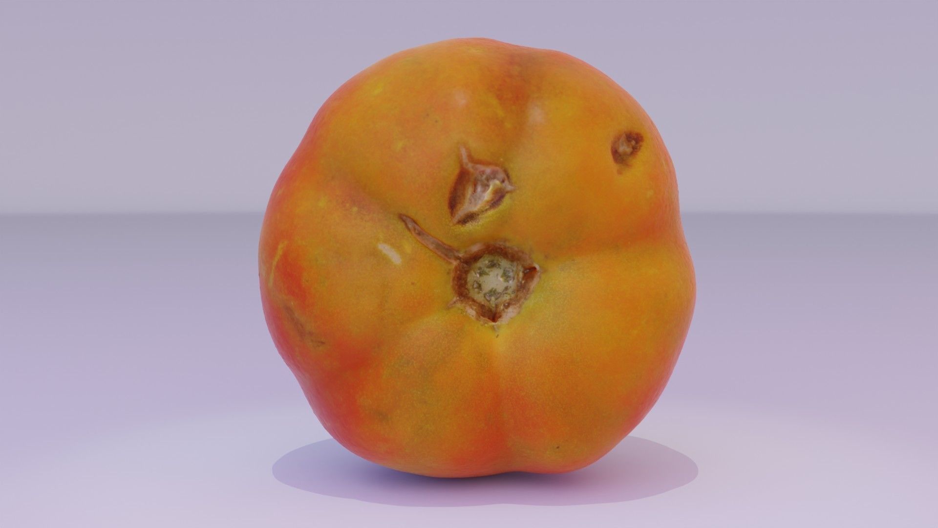 Tomato 07 high-poly 3D model_12
