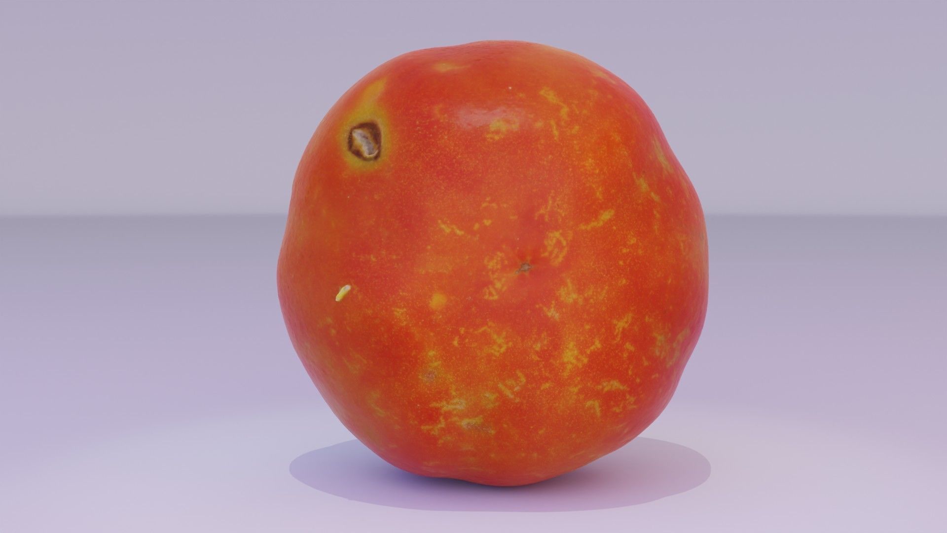 Tomato 07 high-poly 3D model_17