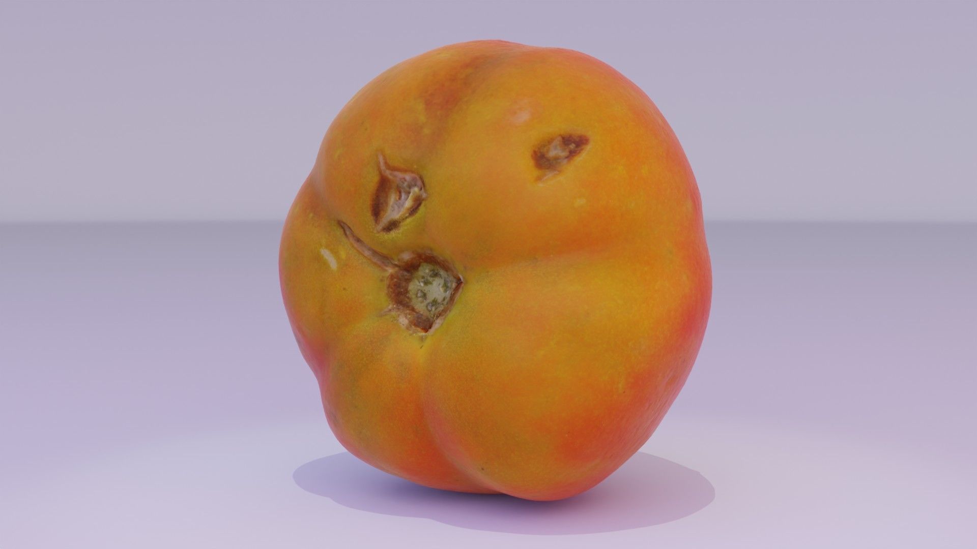 Tomato 07 high-poly 3D model_11