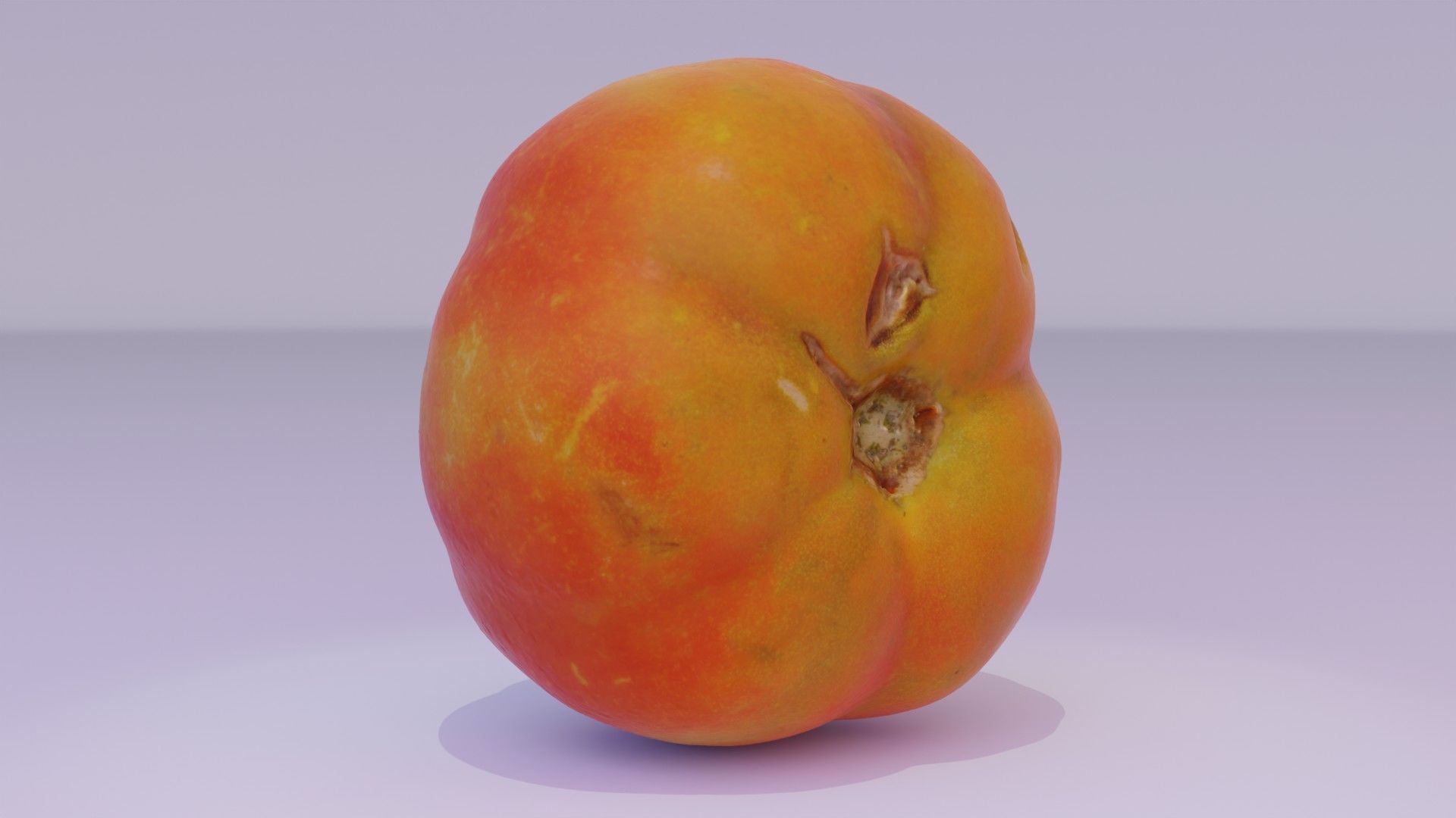 Tomato 07 high-poly 3D model_13
