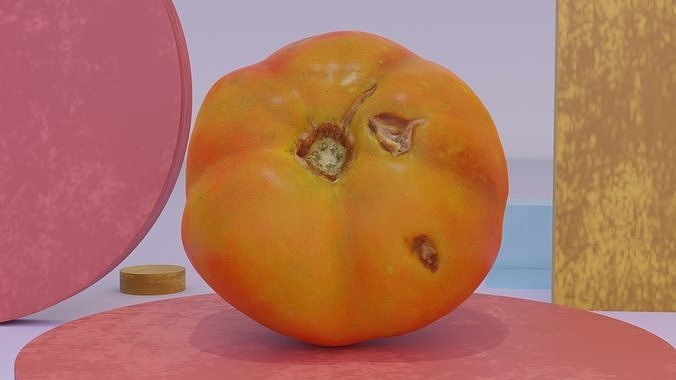 Tomato 07 high-poly 3D model 2