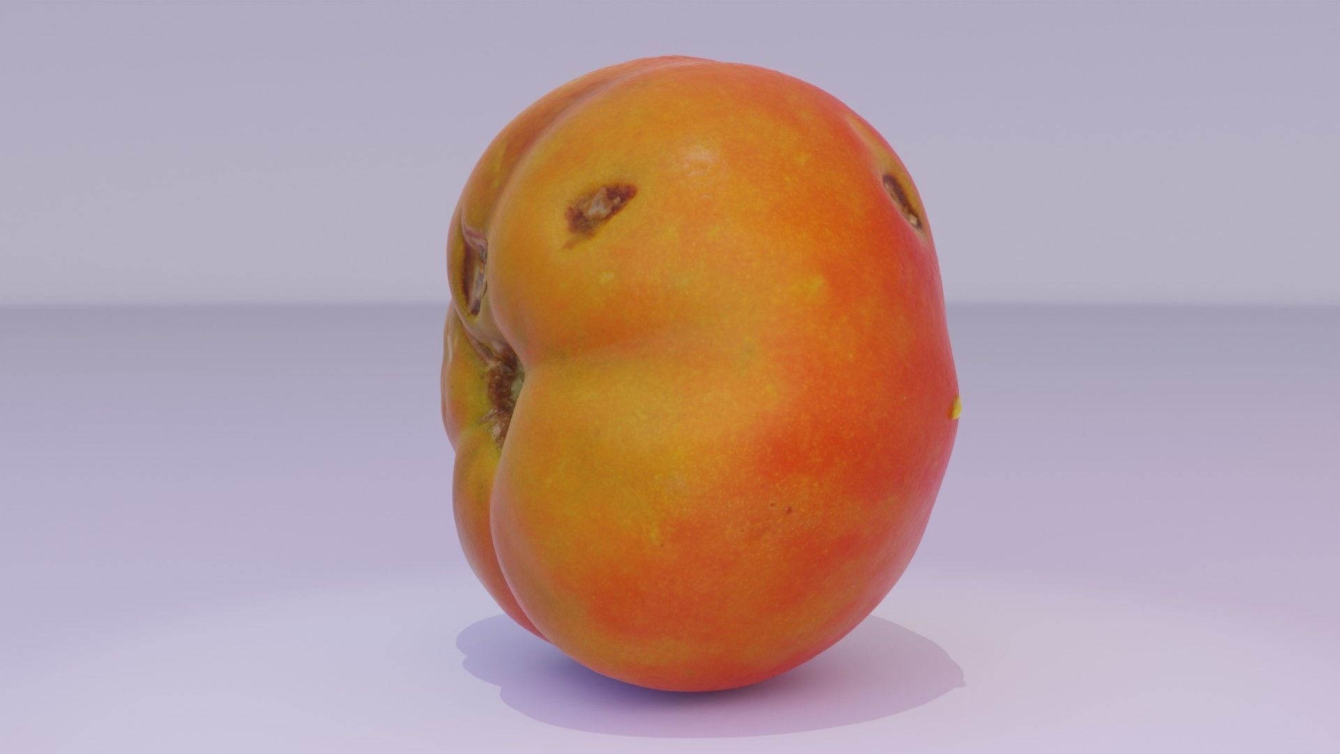 Tomato 07 high-poly 3D model_20