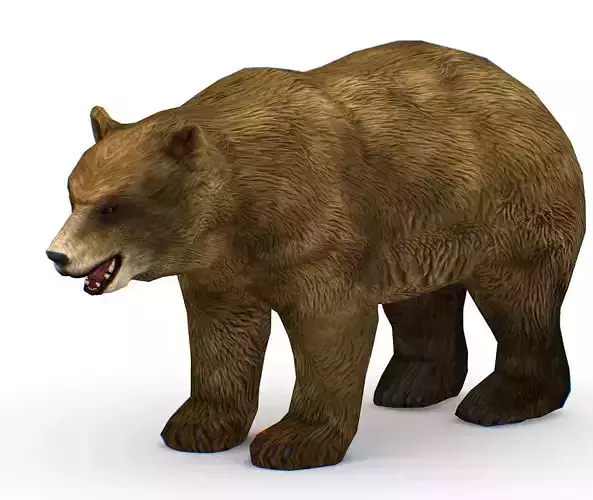 Lowpoly Cartoon Brown Bear