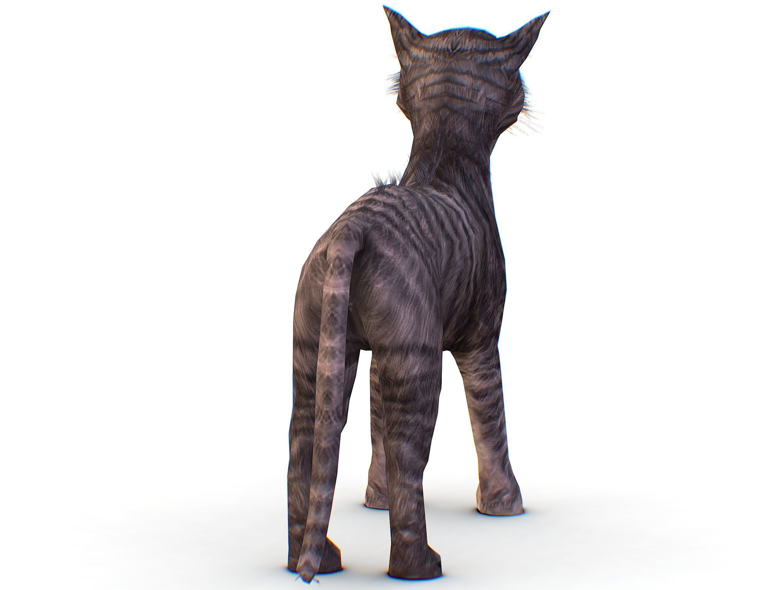 LowPoly Monster Cat Low-poly 3D model_9