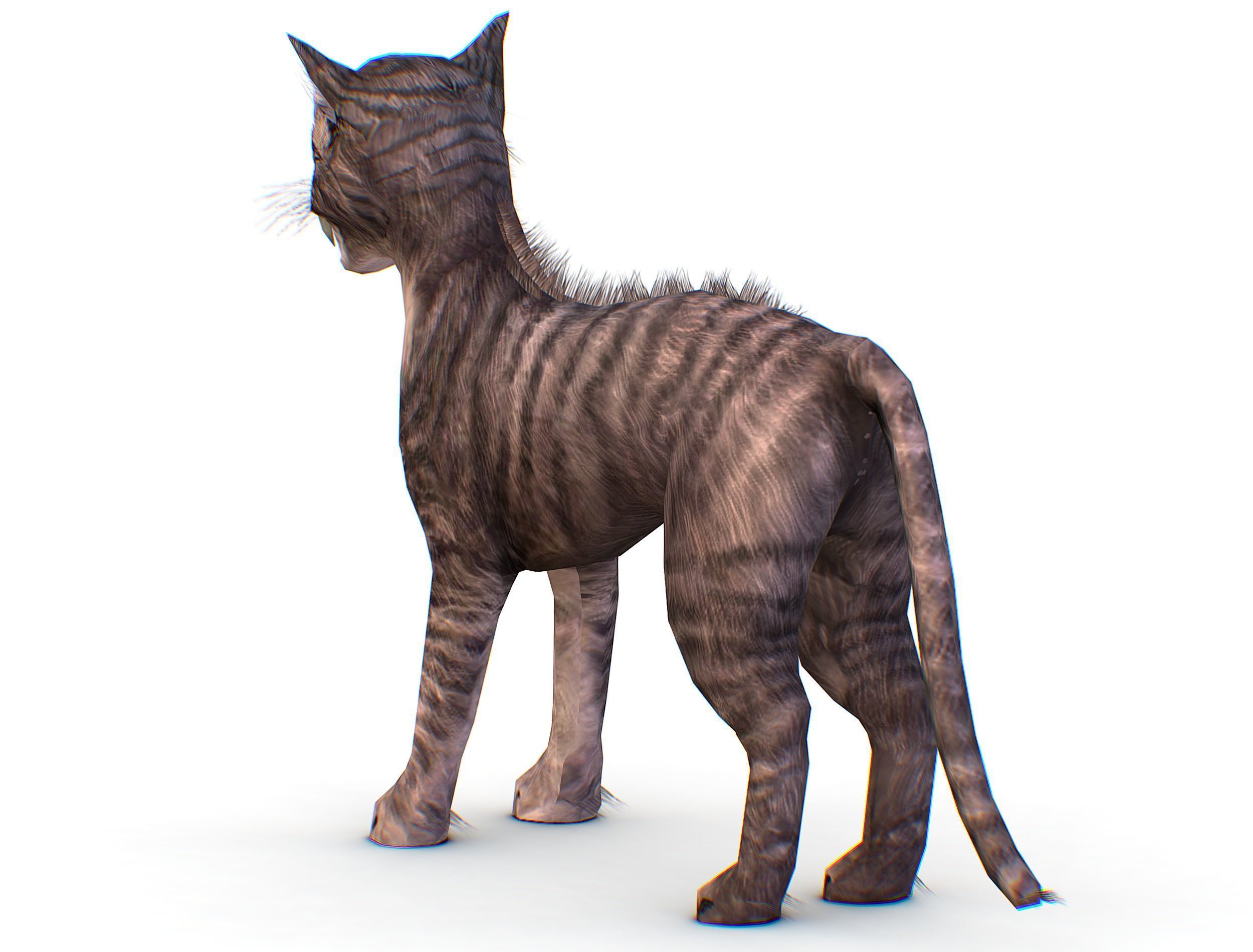 LowPoly Monster Cat Low-poly 3D model_11