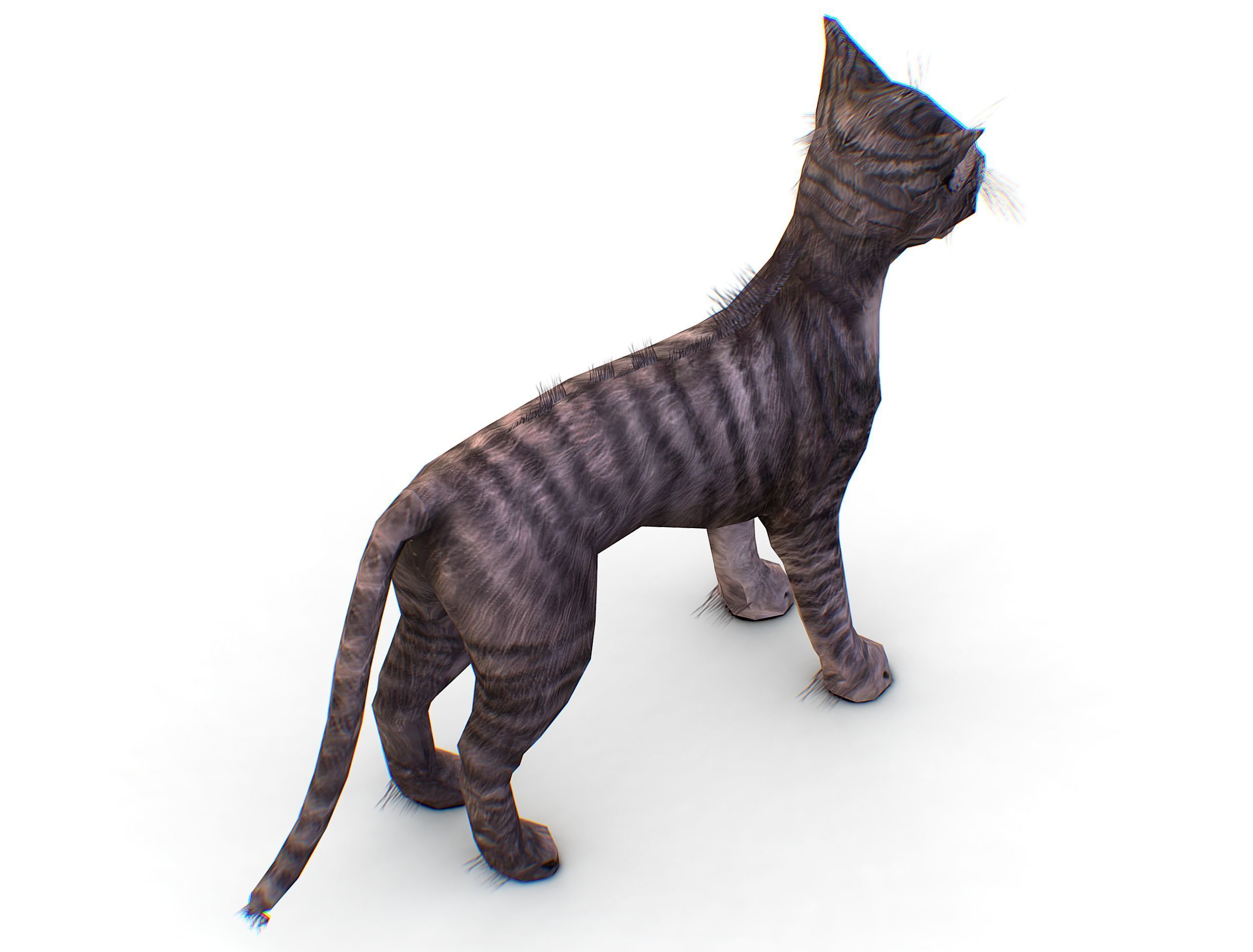 LowPoly Monster Cat Low-poly 3D model_17