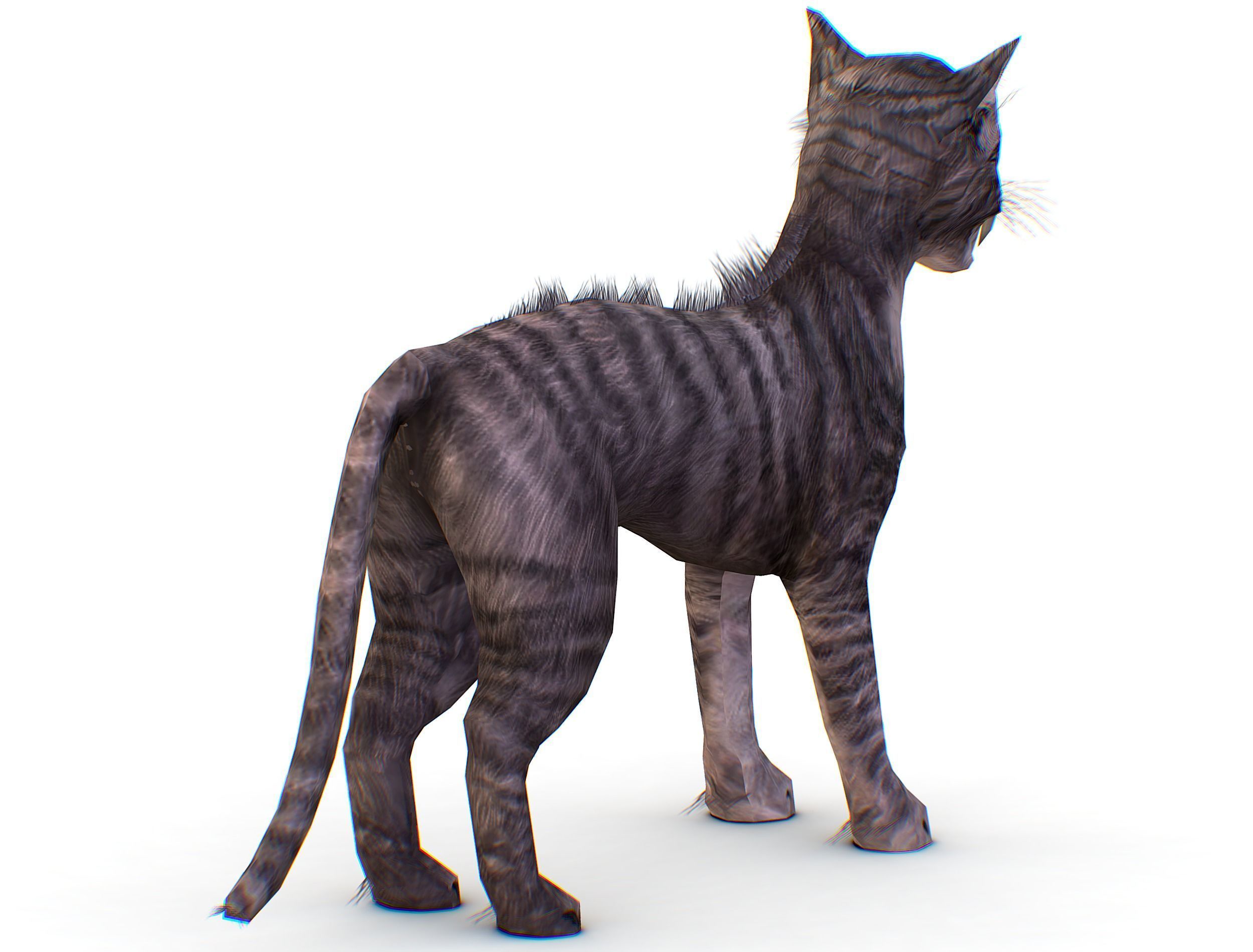 LowPoly Monster Cat Low-poly 3D model_8