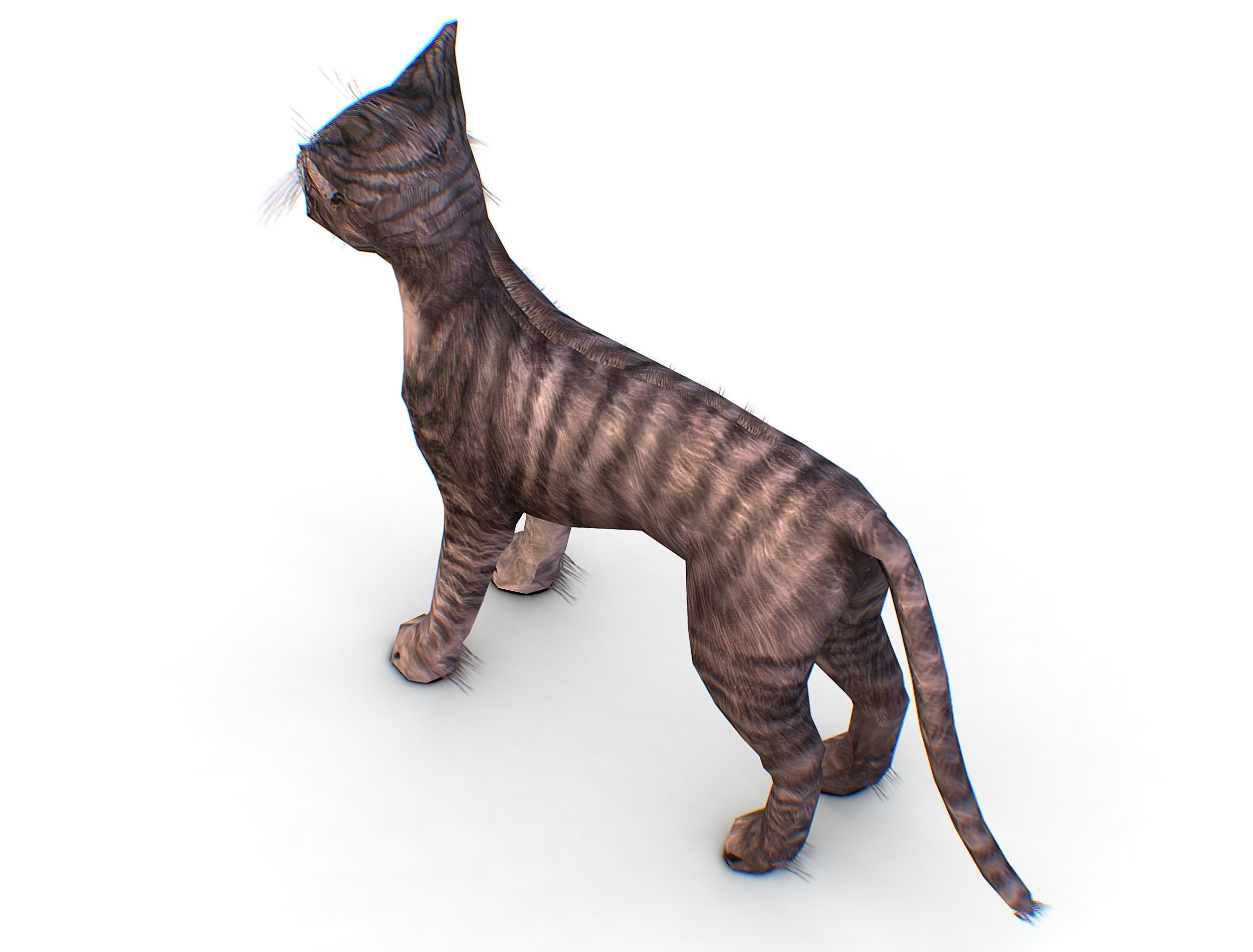 LowPoly Monster Cat Low-poly 3D model_18