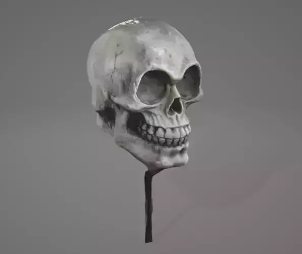 skull on stick