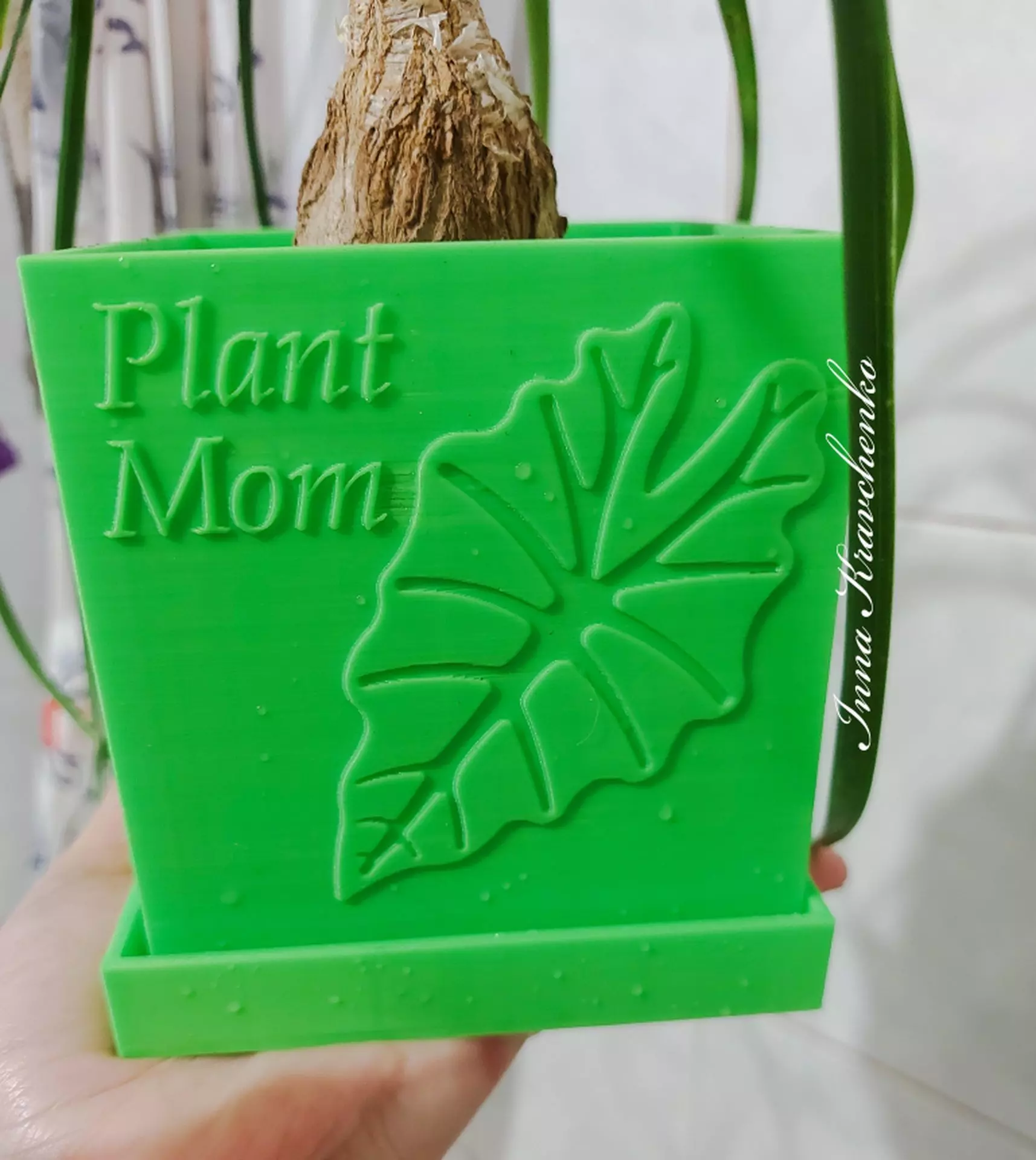 Plant Mom planter 3D print model