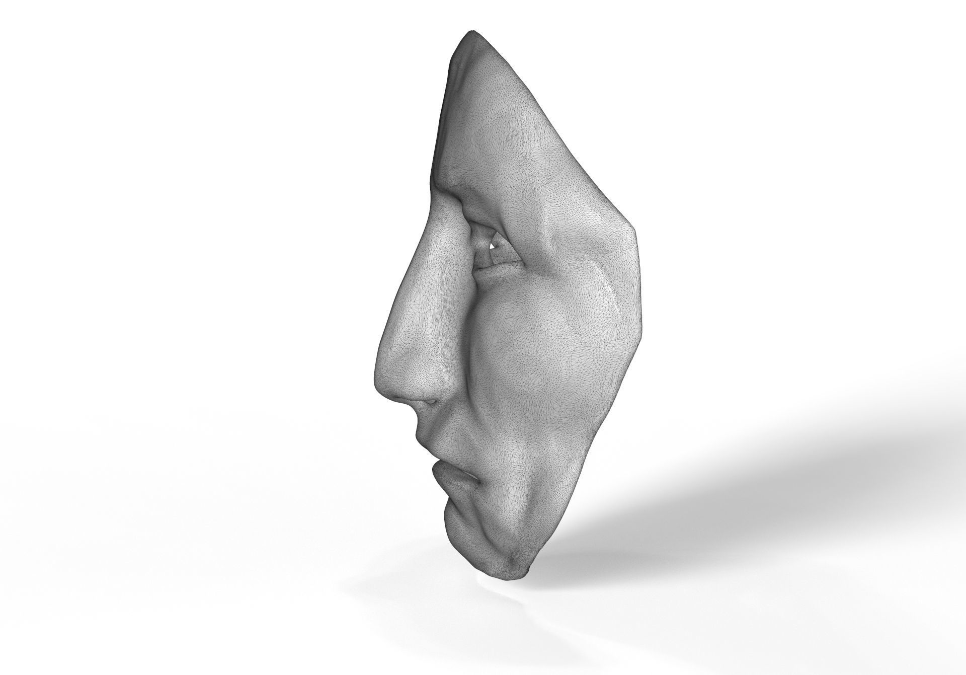 The Penitent One Mask 3D print model_13