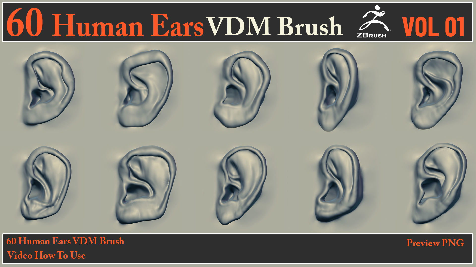 60 Human Ears VDM Brush - Video How To Use 3D model_3