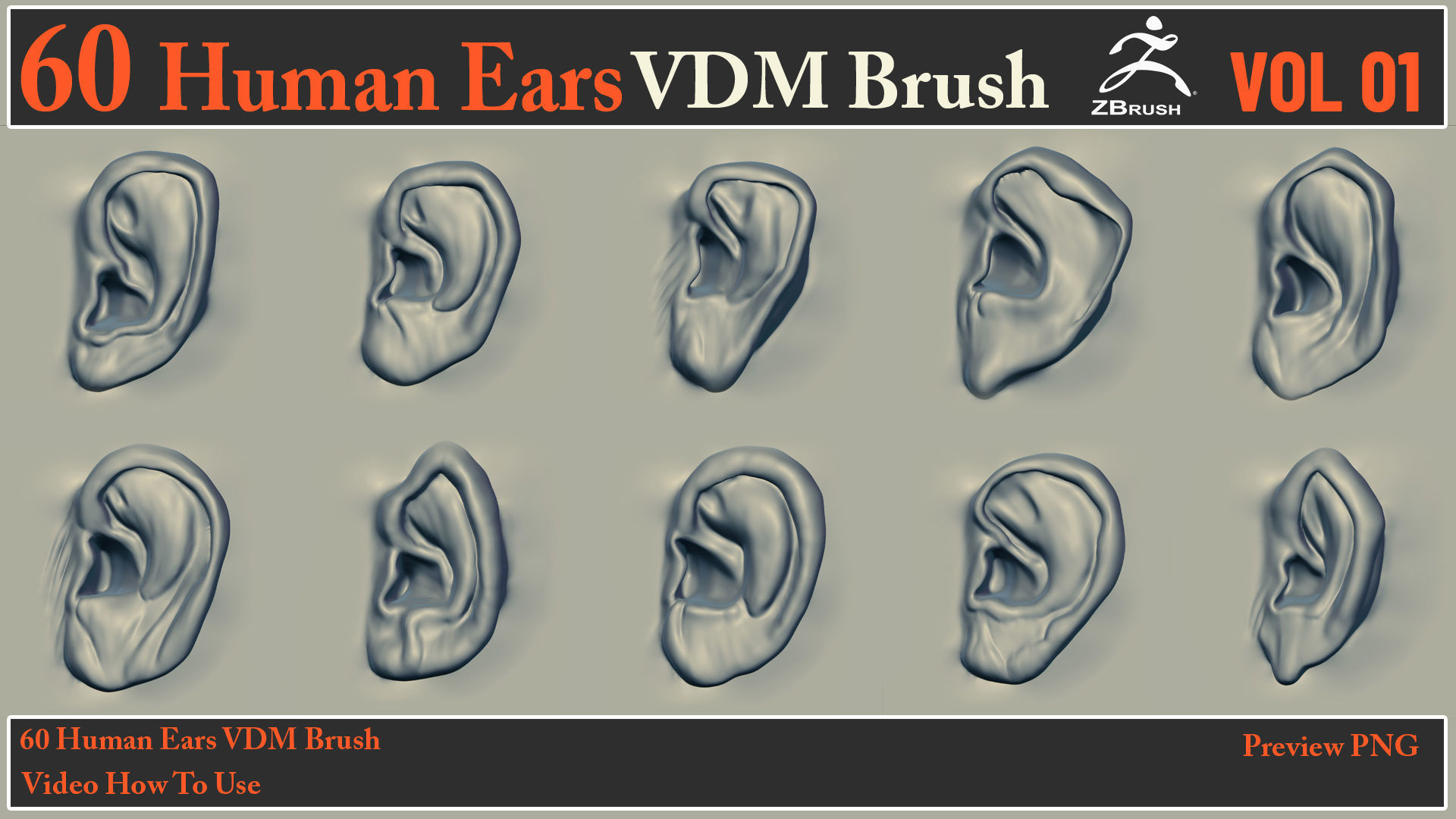 60 Human Ears VDM Brush - Video How To Use 3D model_6