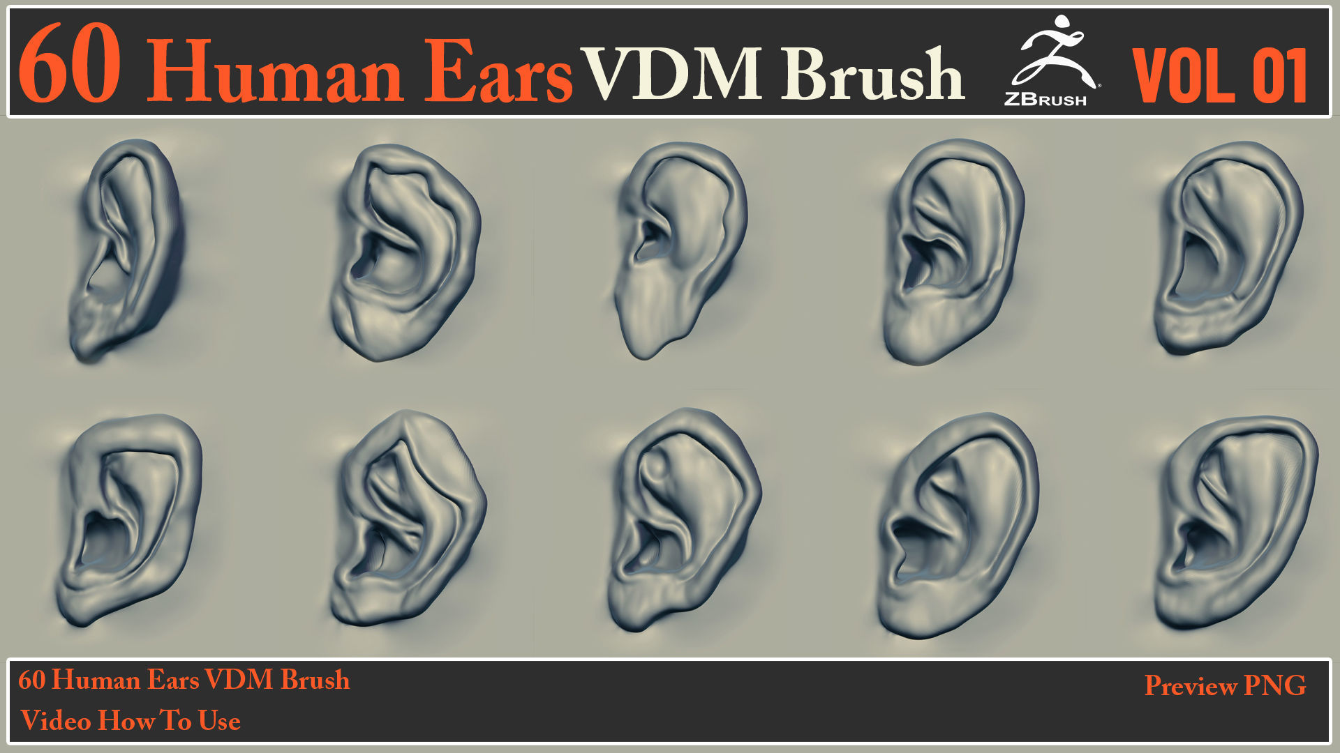 60 Human Ears VDM Brush - Video How To Use 3D model_4