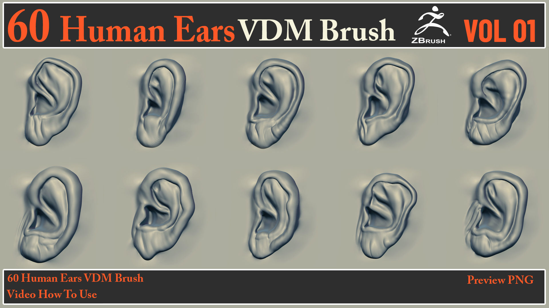 60 Human Ears VDM Brush - Video How To Use 3D model_7