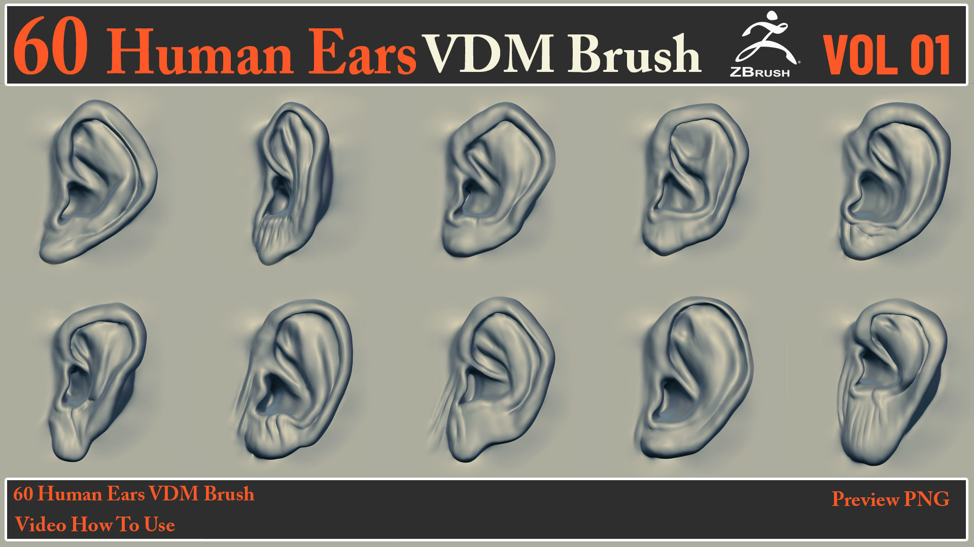 60 Human Ears VDM Brush - Video How To Use 3D model_5