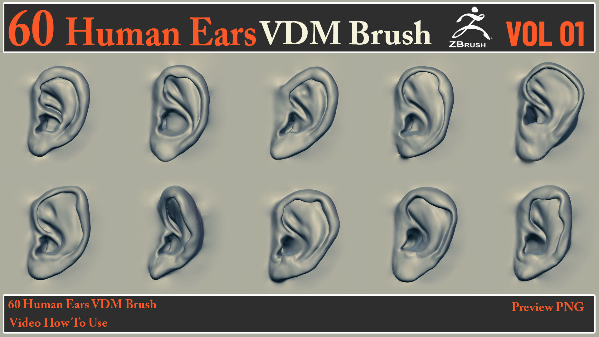 60 Human Ears VDM Brush - Video How To Use 3D model_2