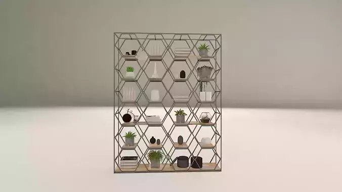 Book Shelf with Decoration