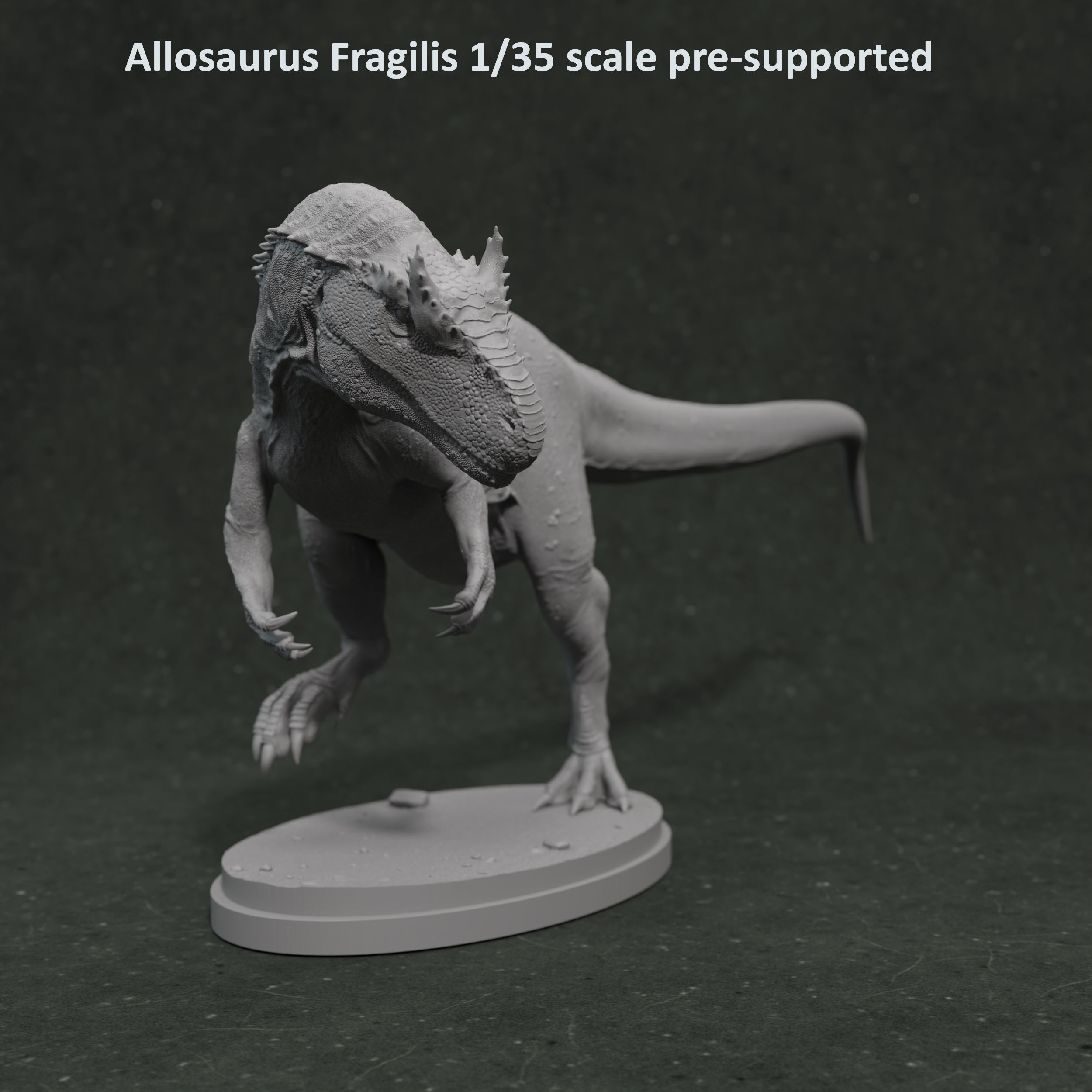 Allosaurus Fragilis 1-35 scale pre-supported dinosaur 3D print model_1
