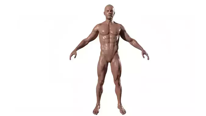Realistic Body Builder character men