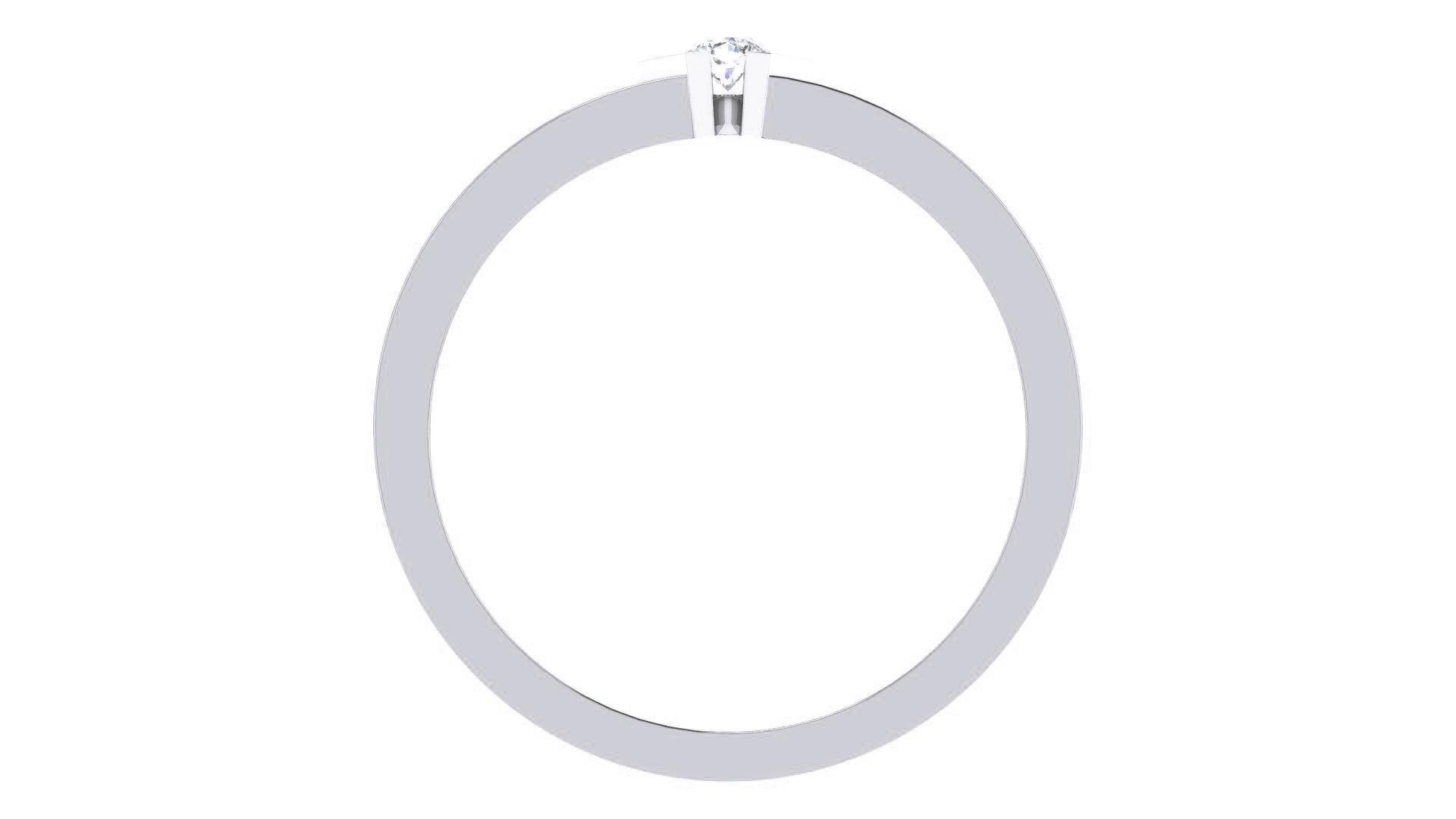 Ring - 17 3D print model_1