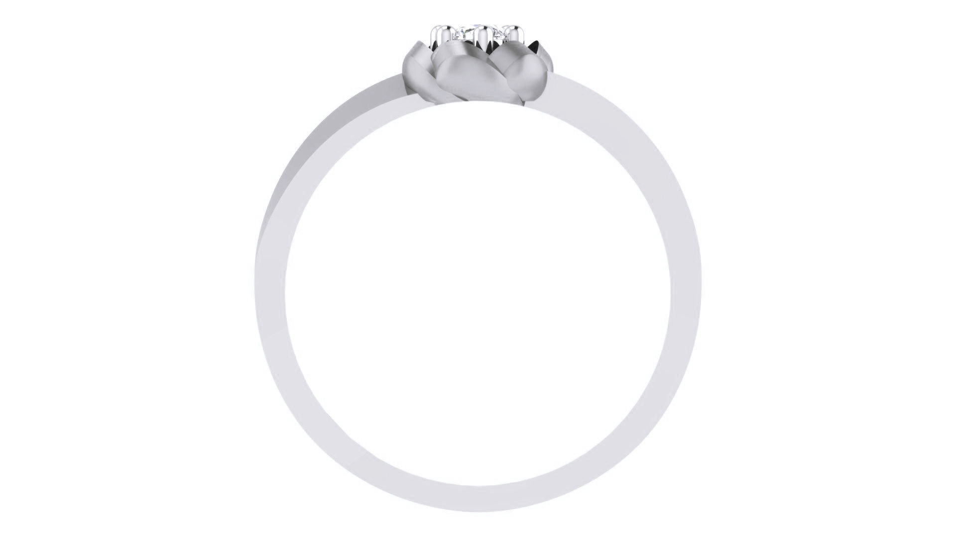 Ring - 11 3D print model_1