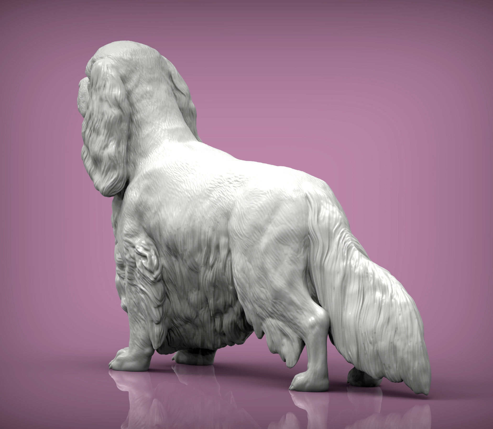 Spaniel cavalier king charles 3D print model_5