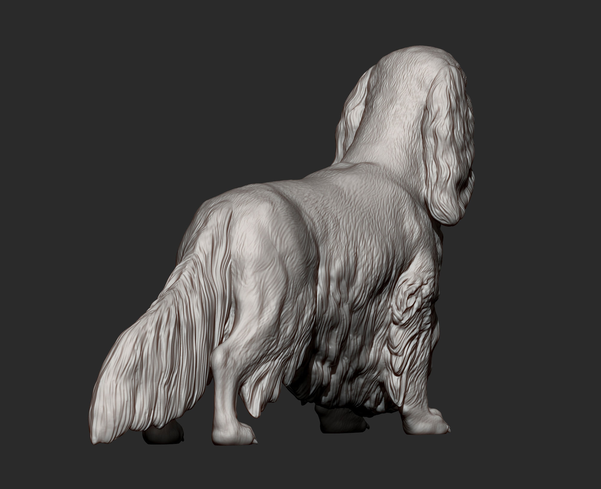 Spaniel cavalier king charles 3D print model_7