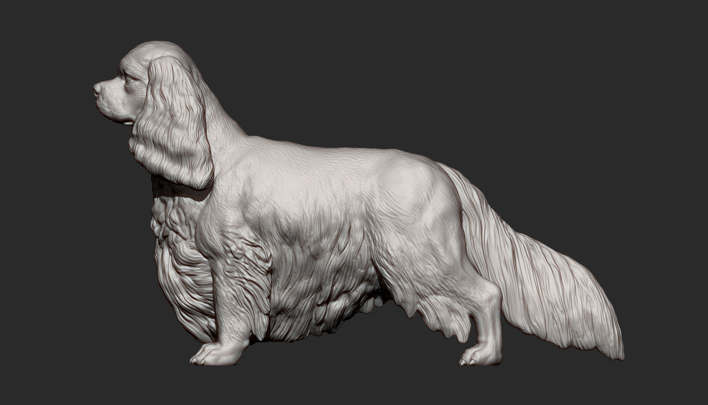Spaniel cavalier king charles 3D print model_12