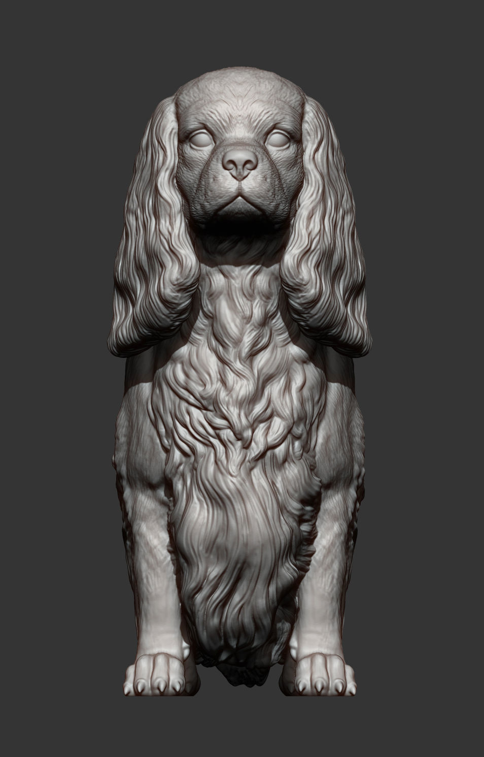 Spaniel cavalier king charles 3D print model_9