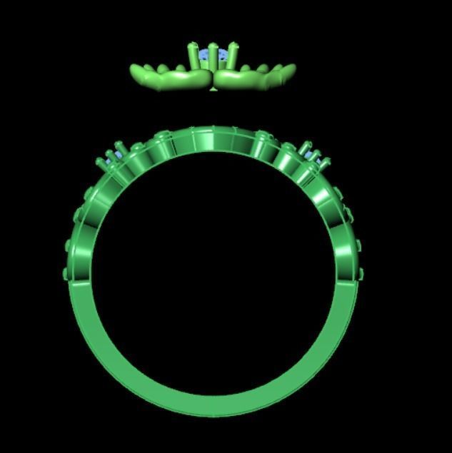 Ring 138 3D print model_8