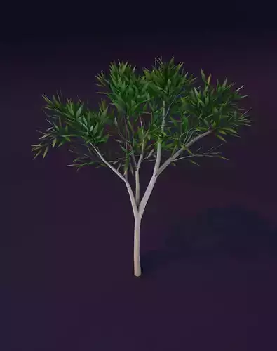 Cartoon Eucalyptus Tree 3D Model