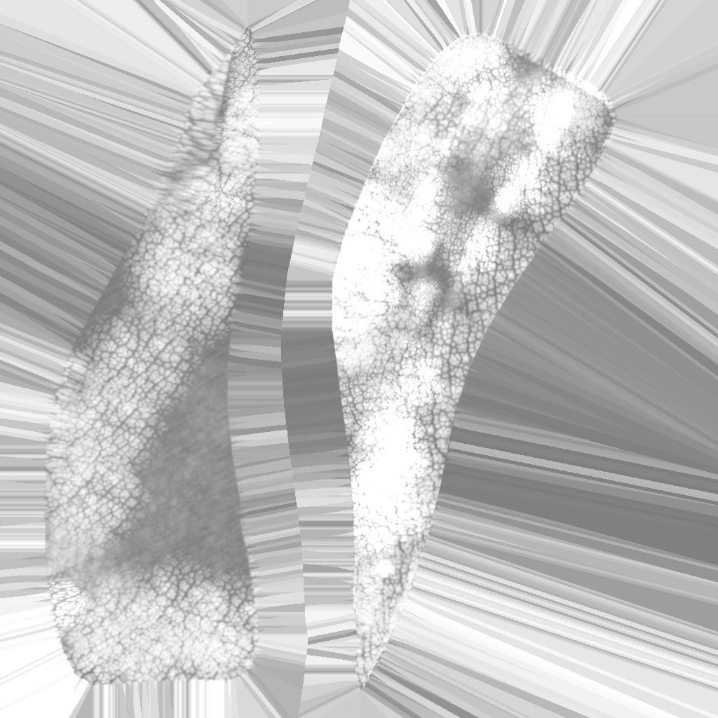 Dragon creacher Low-poly 3D model_46