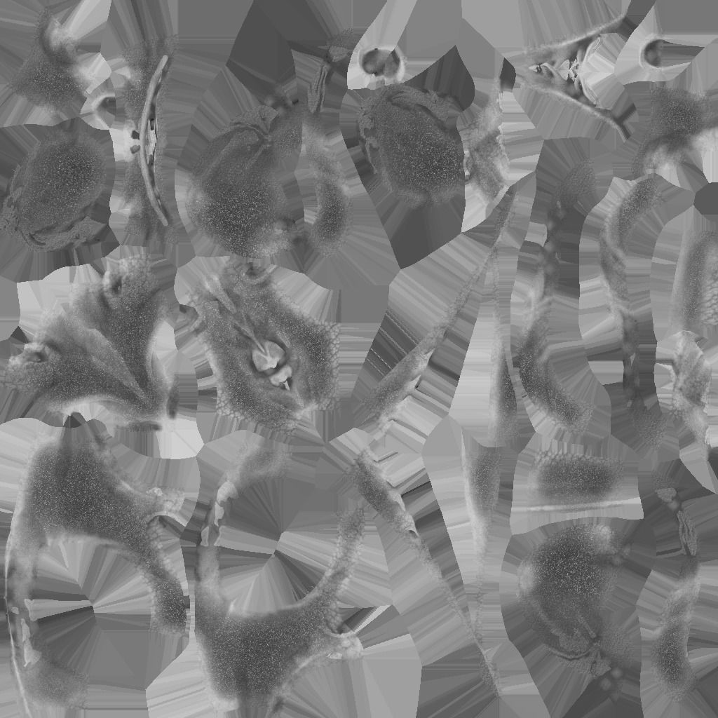 Dragon creacher Low-poly 3D model_23