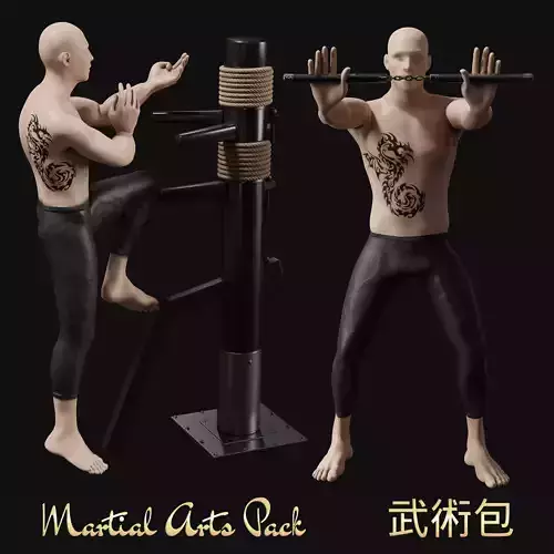 Martial arts Training Pack Low-poly 3D model