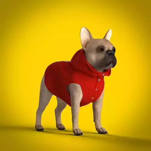 Dog Hoodie Jumper