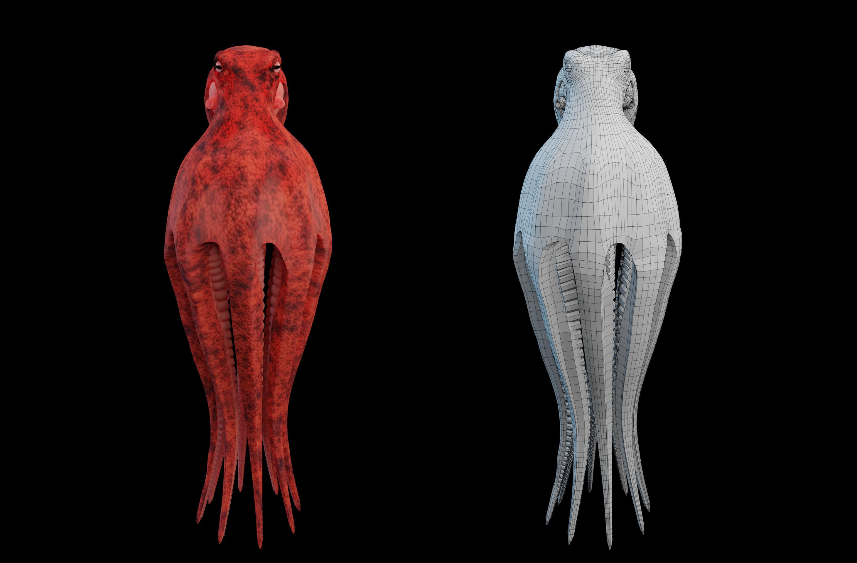Animated Octopus Low-poly 3D model_4