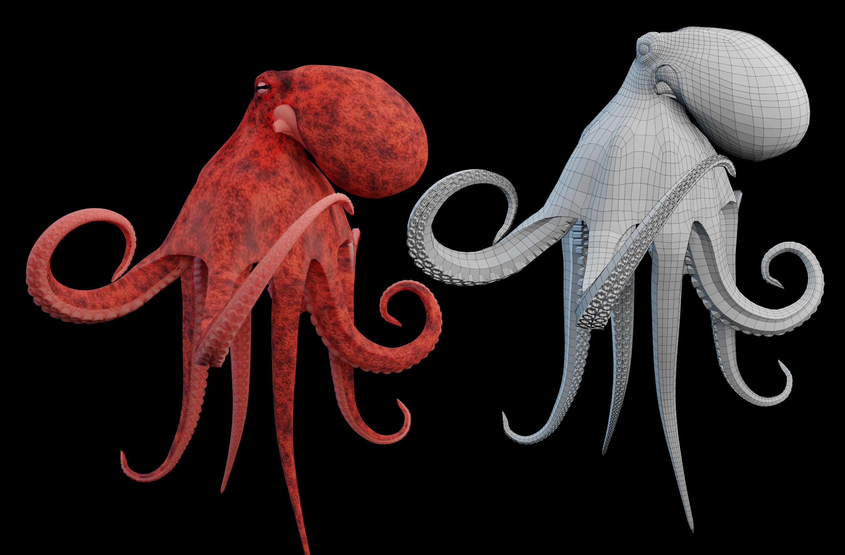Animated Octopus Low-poly 3D model_5