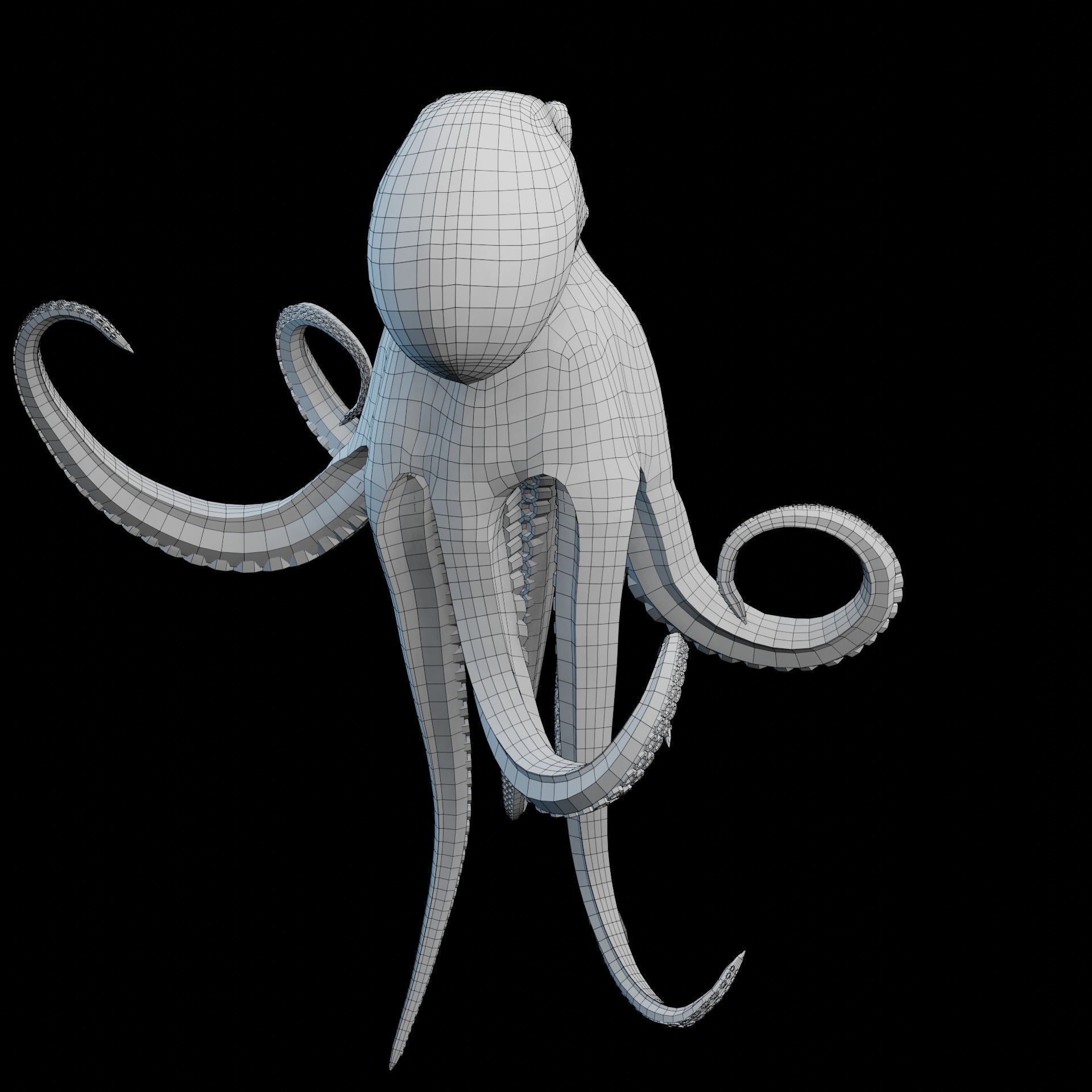 Animated Octopus Low-poly 3D model_24