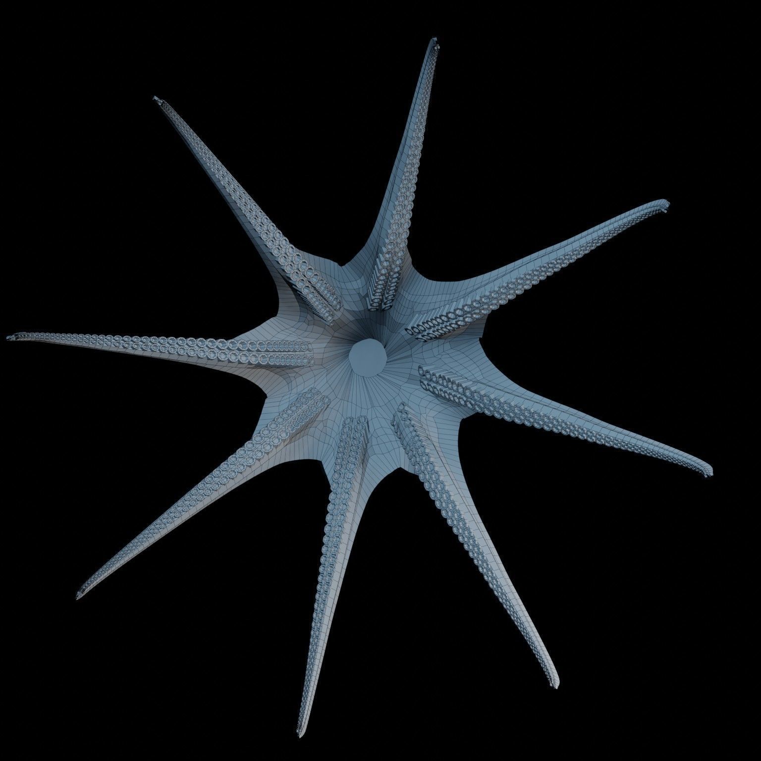 Animated Octopus Low-poly 3D model_12