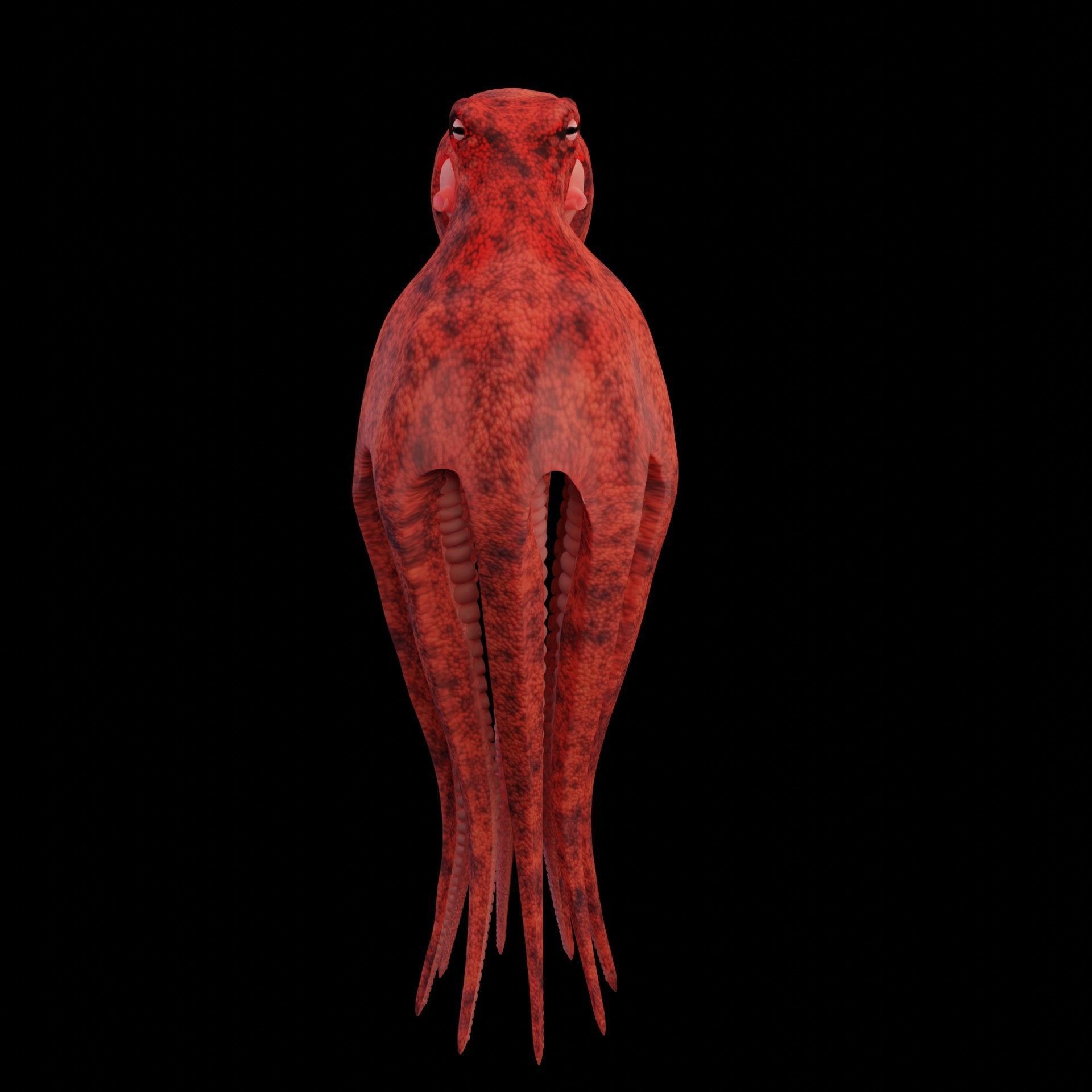 Animated Octopus Low-poly 3D model_15