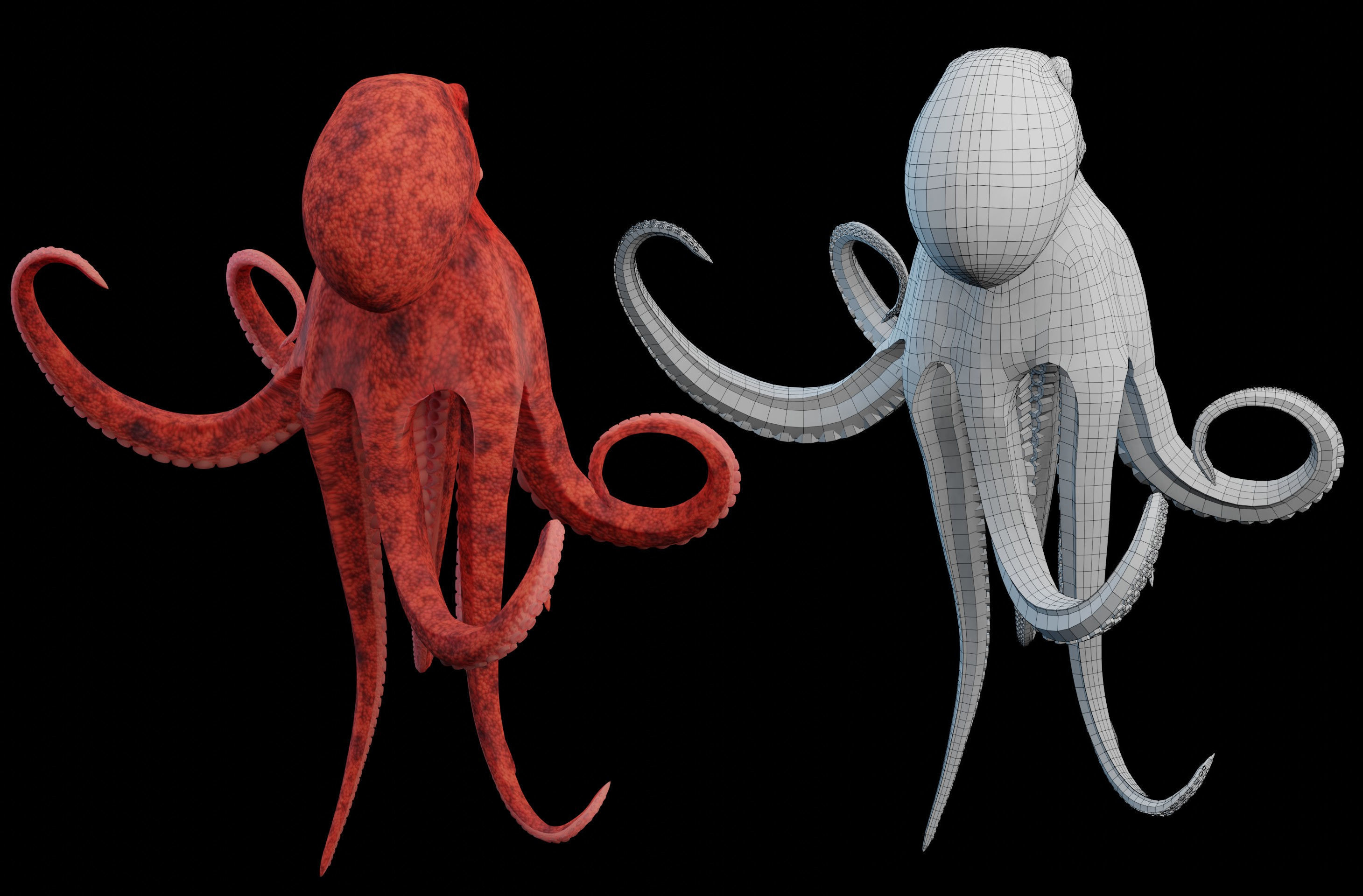 Animated Octopus Low-poly 3D model_6