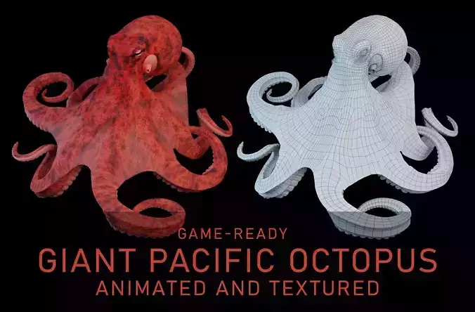 Animated Octopus Low-poly 3D model