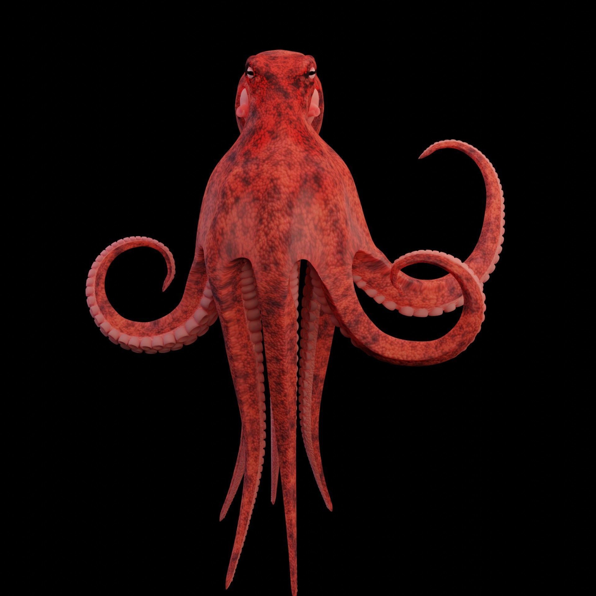 Animated Octopus Low-poly 3D model_16